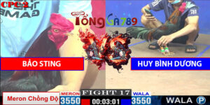 Trận Số 17 CPC2 9/5/2025 - Huy Bình Dương Hạ Bảo Sting