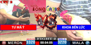 Trận 2 CPC2 4/5/2025 - Tư Mã Ý So Tài Với Anh Khoa