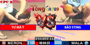 Trận Số 11 CPC2 9/5/2025 - Tư Mã Ý Gặp Bảo Sting