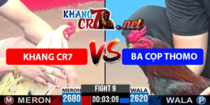 Trận 9 C3 7/6/2025 - Khang Cr7 Gặp A Ba Cọp Thomo