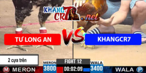 Trận 12 C3 22/6/2025 - Tư Long An Đối Đầu KhangCr7