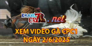 Xem Video Gà CPC1 Ngày 2/6/2025