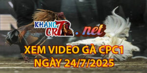 Xem Video Gà CPC1 Ngày 24/7/2025